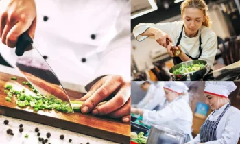 Aşçılık Eğitimi Nedir?