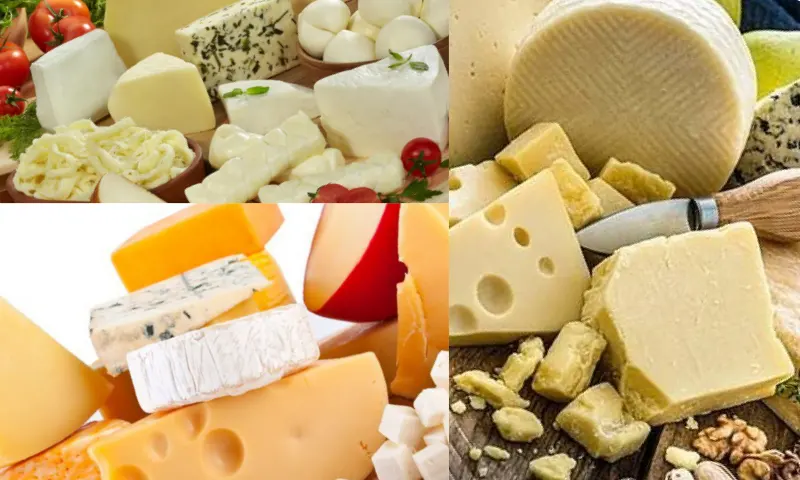 Peynirin Yararları: Sağlıklı Beslenmenin Anahtarı
