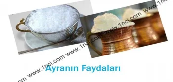 Ayranın Yararları