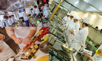 Aşçılık Eğitiminin Temel Bileşenleri