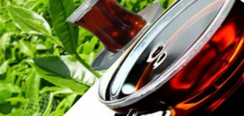 Siyah Çayın Faydaları ve Zararları Nelerdir